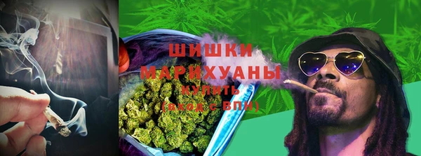 стаф Заволжск