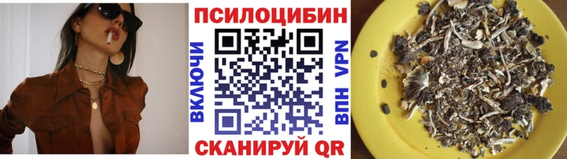 Галлюциногенные грибы Psilocybine cubensis  Мосальск 